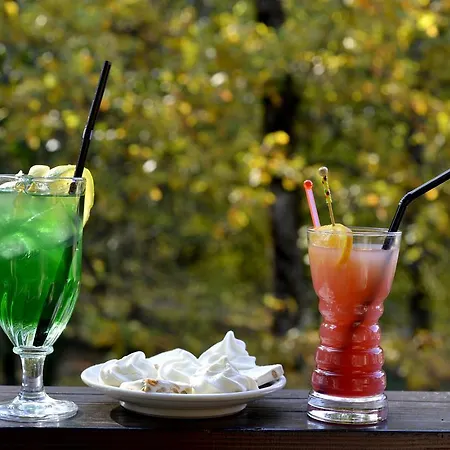 Le Bois Dormant-hotel Restaurant & Logis 샹파뇰