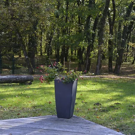 Le Bois Dormant-hotel Restaurant & Logis 호텔 3*