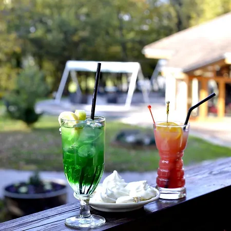 호텔 Le Bois Dormant-hotel Restaurant & Logis 샹파뇰